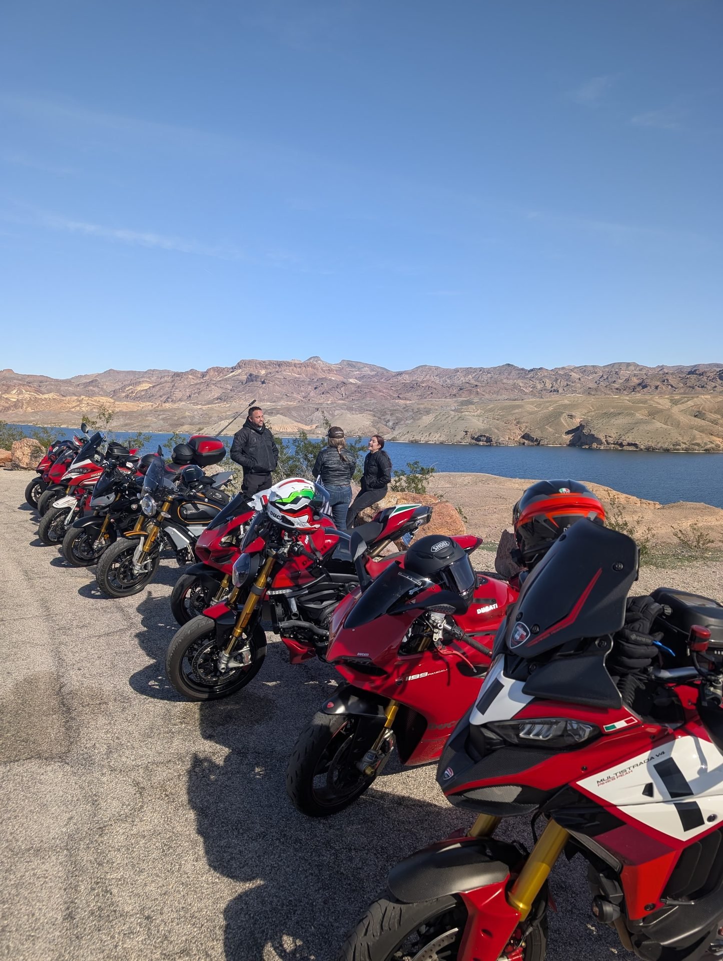 LVDOC gallery photo 22