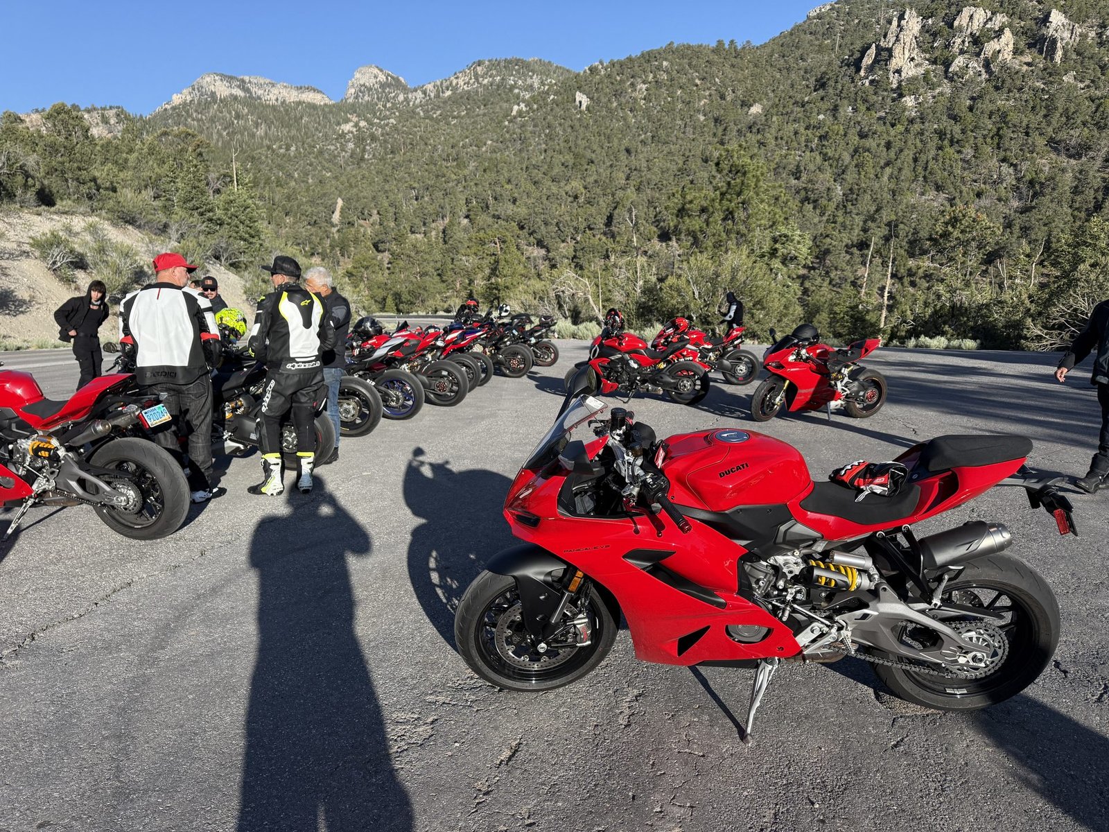 LVDOC gallery photo 54