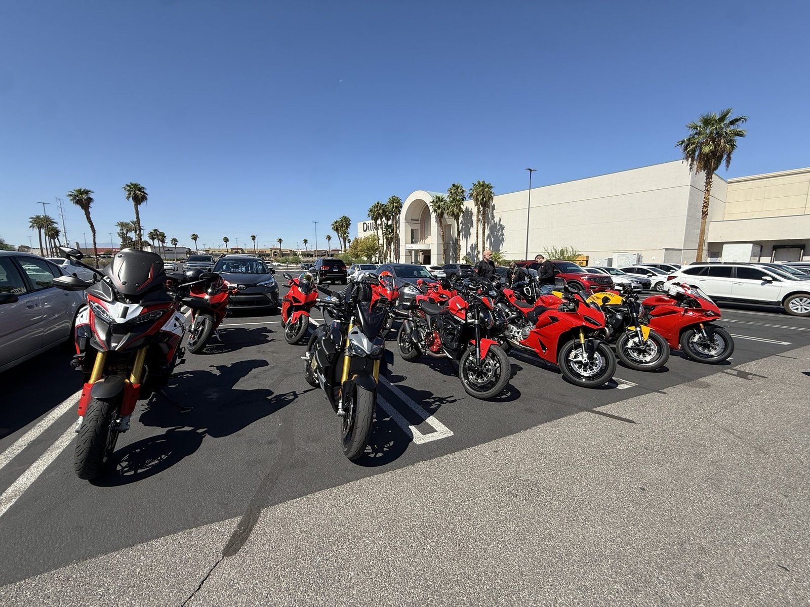 LVDOC gallery photo 6