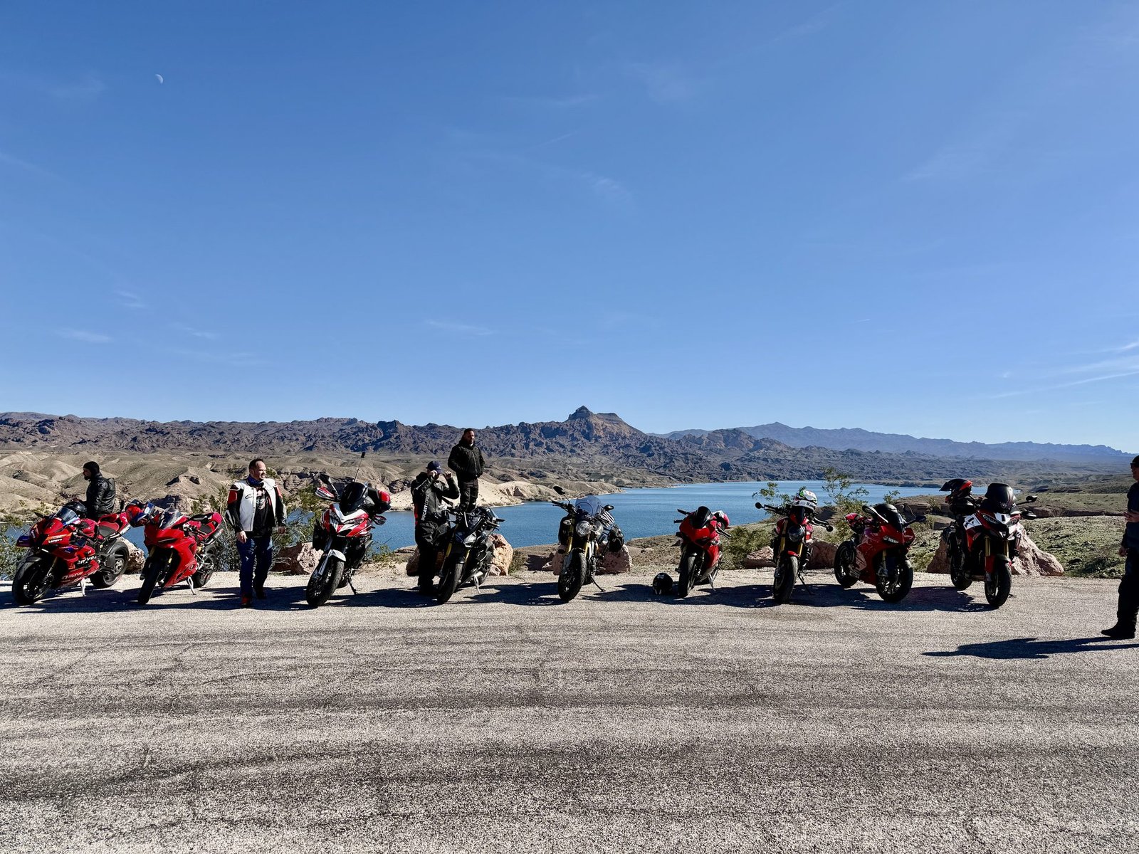 LVDOC gallery photo 24