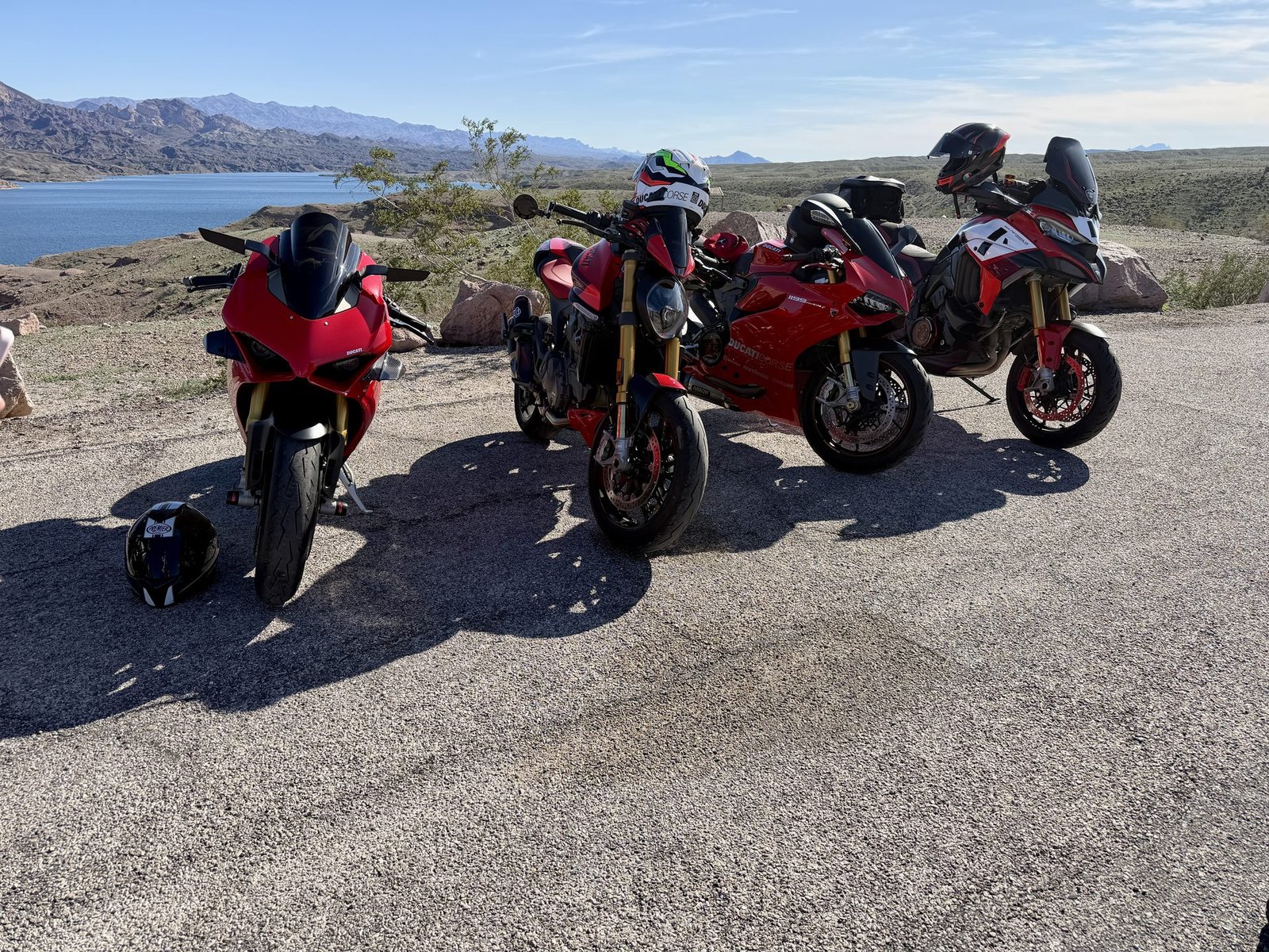 LVDOC gallery photo 2