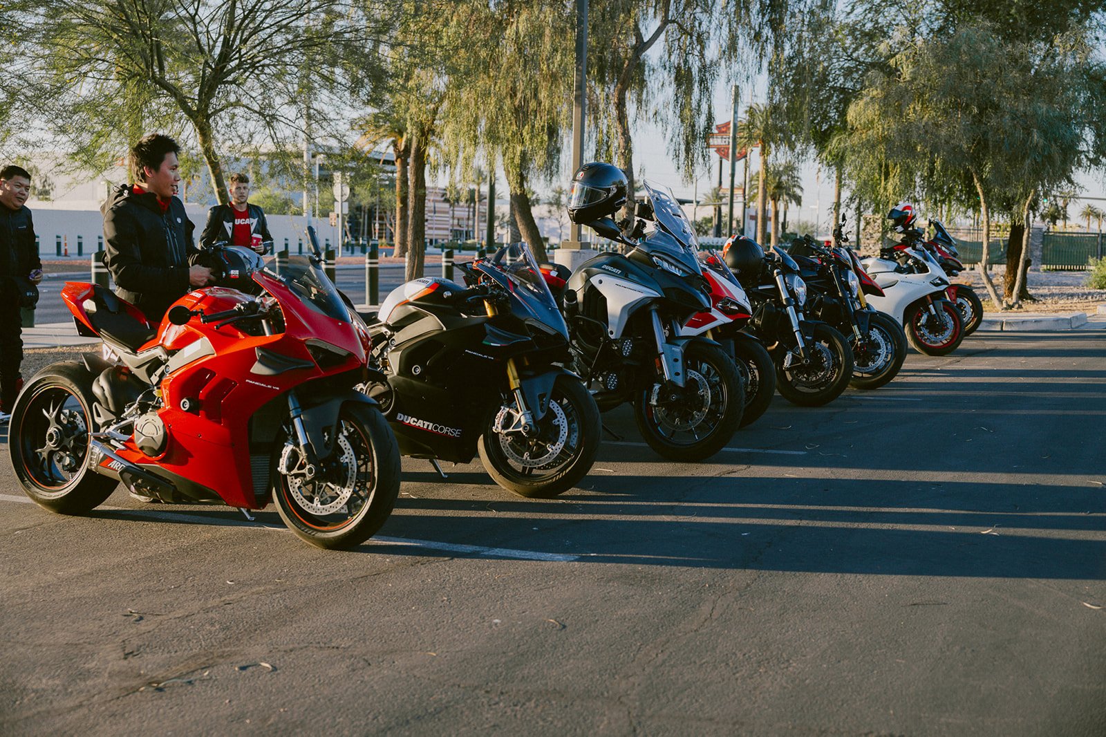 LVDOC gallery photo 41