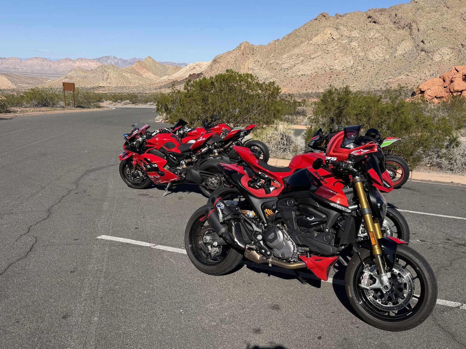 LVDOC gallery photo 21