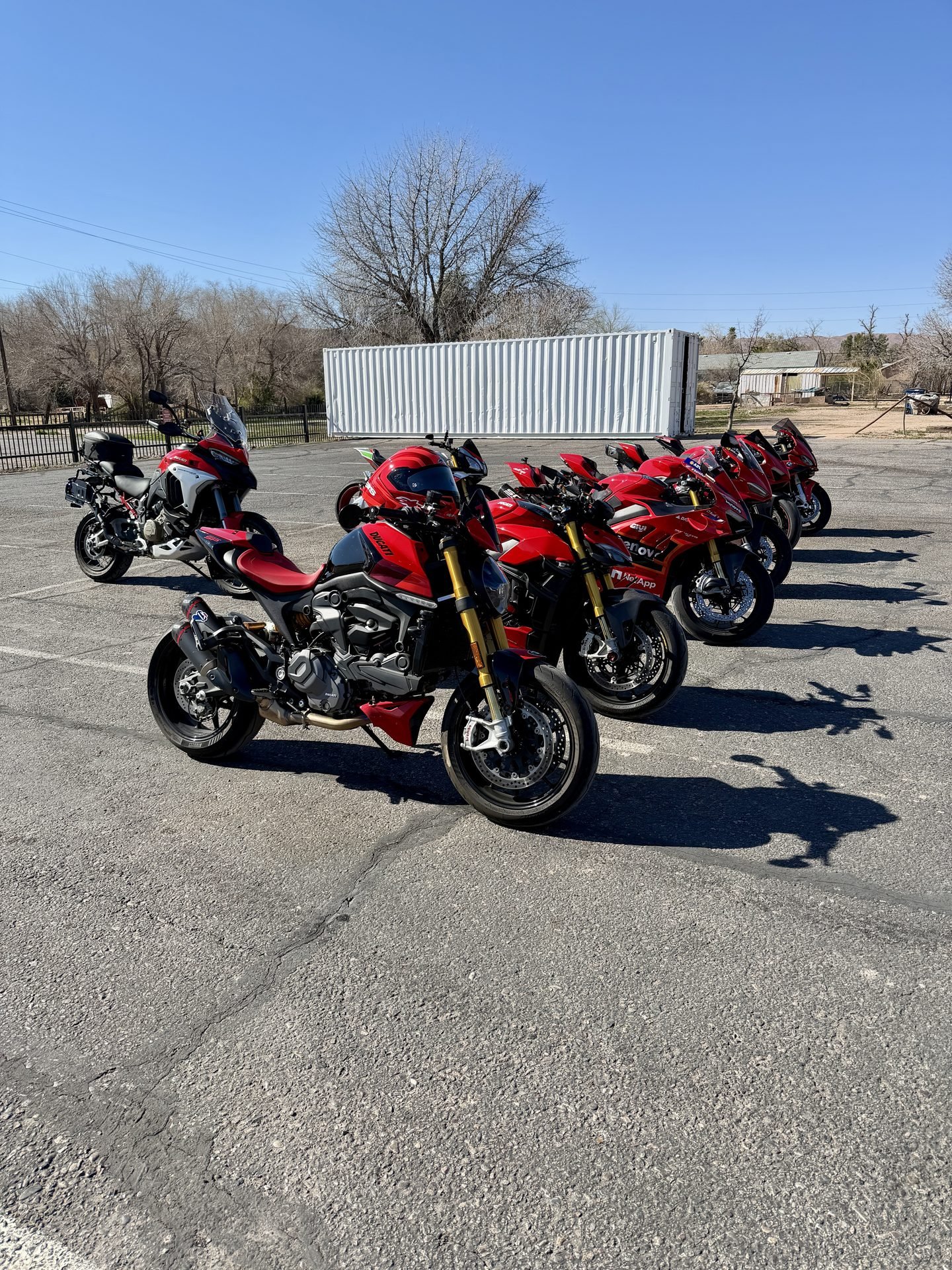 LVDOC gallery photo 15