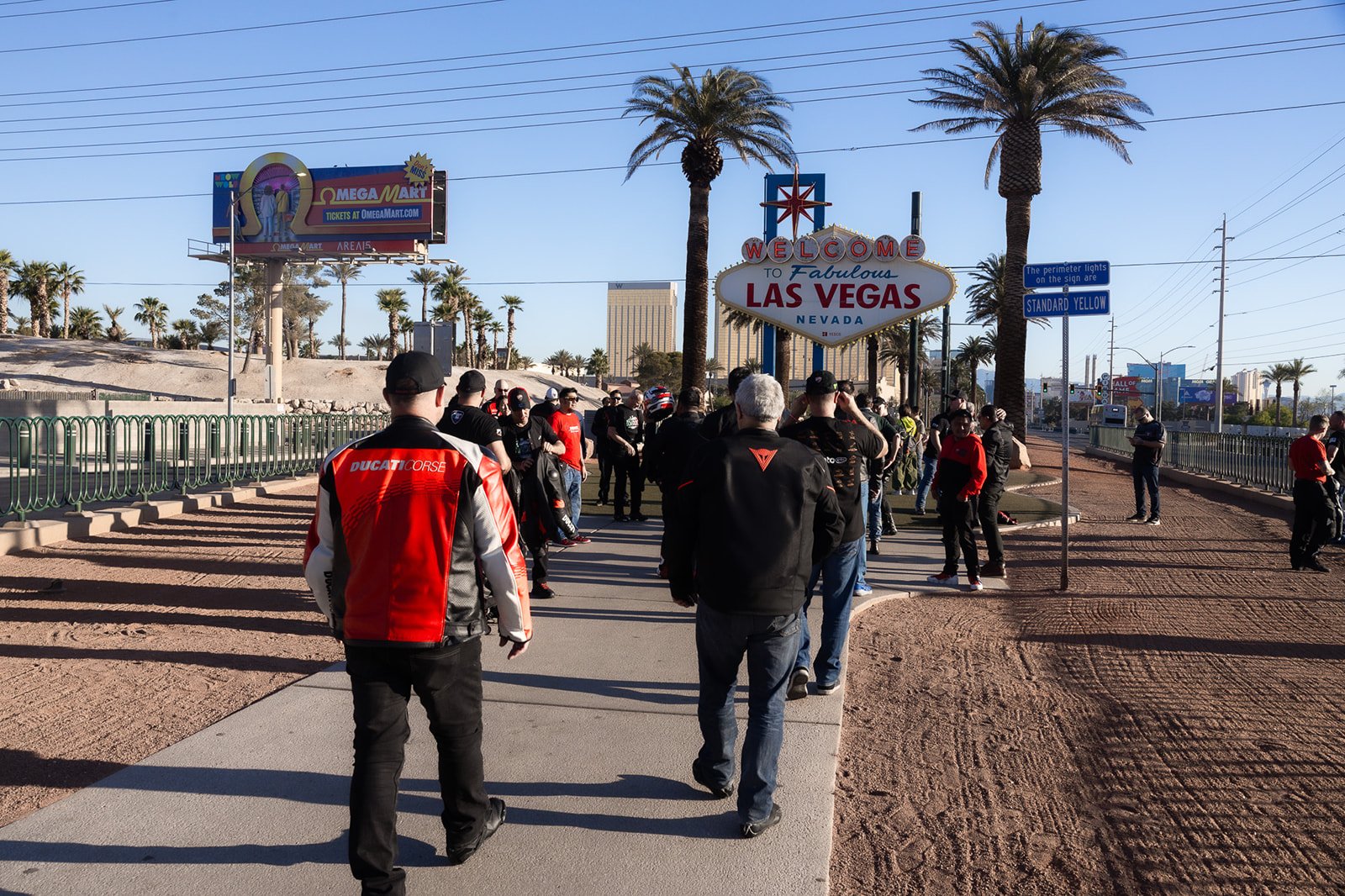 LVDOC gallery photo 28