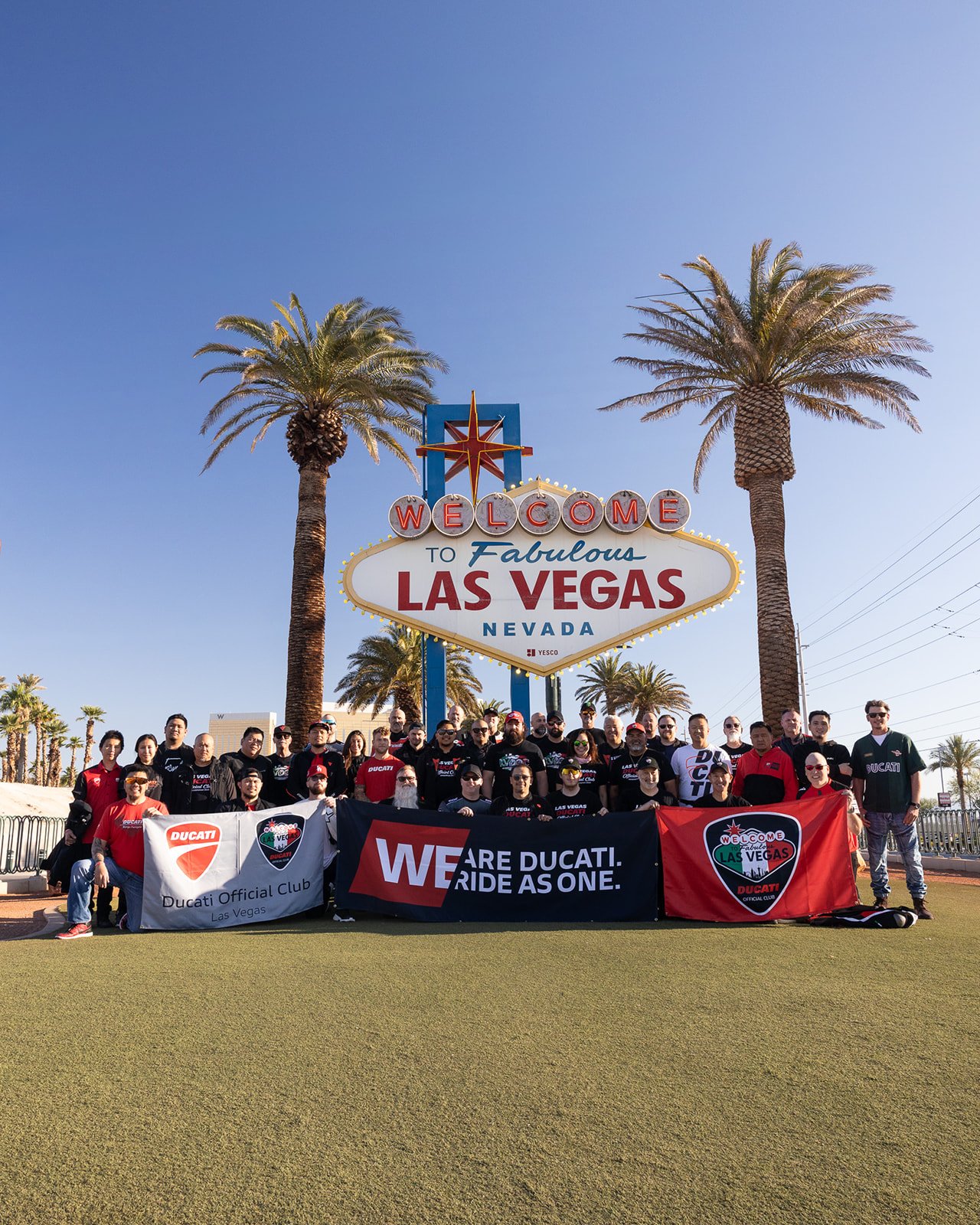 LVDOC gallery photo 30