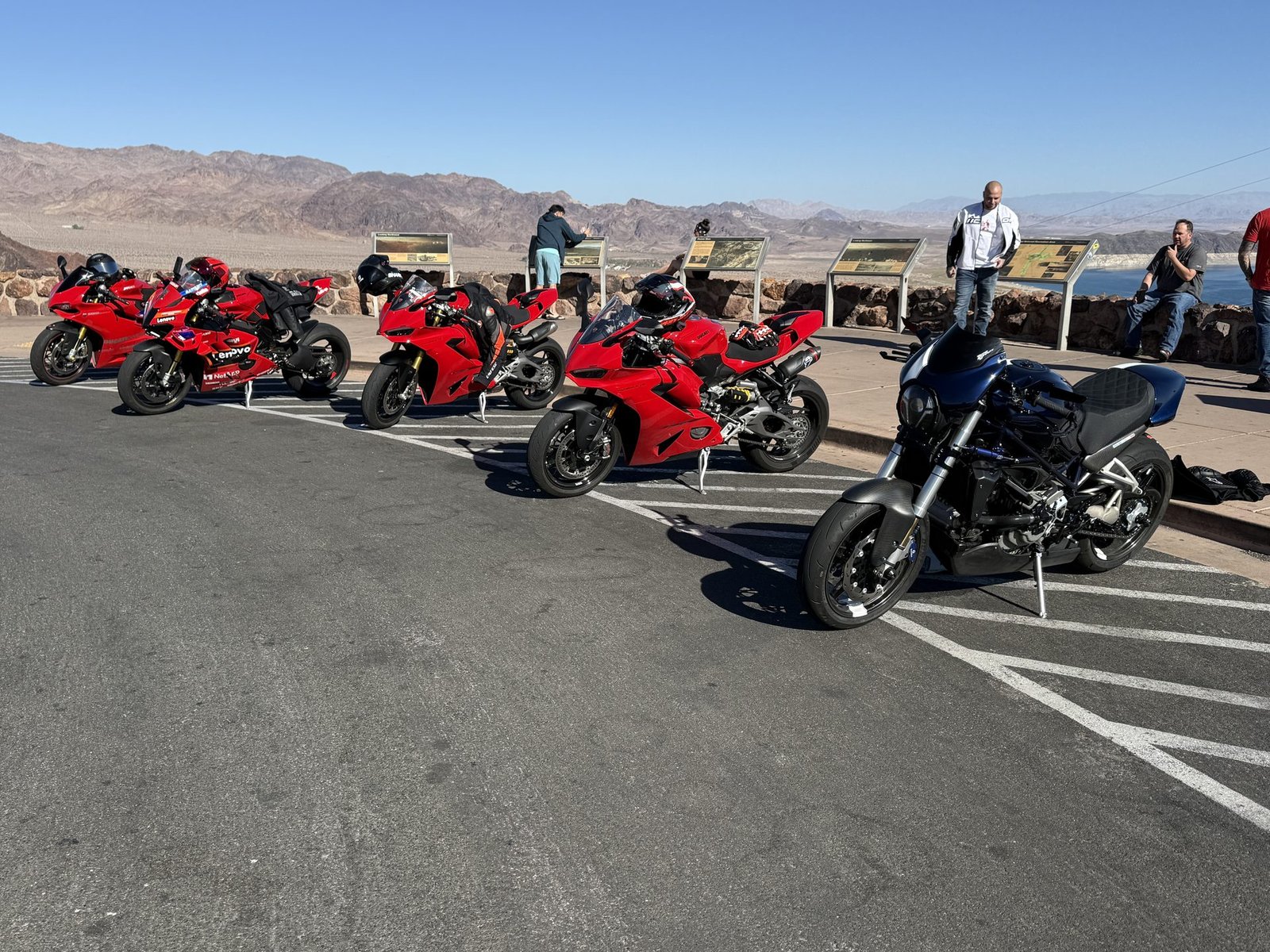 LVDOC gallery photo 58